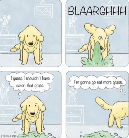 image tagged in comics | made w/ Imgflip meme maker
