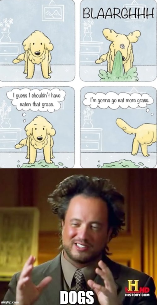 DOGS | image tagged in memes,ancient aliens | made w/ Imgflip meme maker