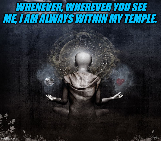 JD212 | WHENEVER, WHEREVER YOU SEE ME, I AM ALWAYS WITHIN MY TEMPLE. | image tagged in philosophy | made w/ Imgflip meme maker