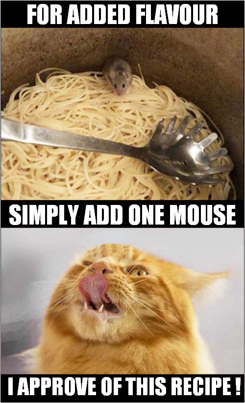 Real Italian Cooking:  Spaghetti Al Topo ! | FOR ADDED FLAVOUR; SIMPLY ADD ONE MOUSE; I APPROVE OF THIS RECIPE ! | image tagged in cat,italian,recipe,spaghetti,mouse | made w/ Imgflip meme maker