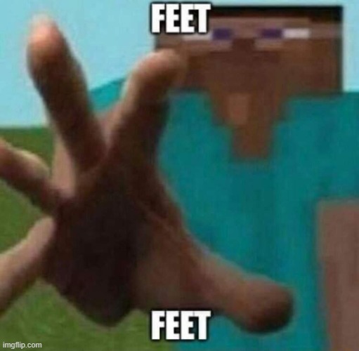 feet | image tagged in feet,minecraft | made w/ Imgflip meme maker