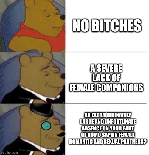 Tuxedo Winnie the Pooh (3 panel) | NO BITCHES A SEVERE LACK OF FEMALE COMPANIONS AN EXTRAORDINARILY LARGE AND UNFORTUNATE ABSENCE ON YOUR PART OF HOMO SAPIEN FEMALE ROMANTIC A | image tagged in tuxedo winnie the pooh 3 panel | made w/ Imgflip meme maker