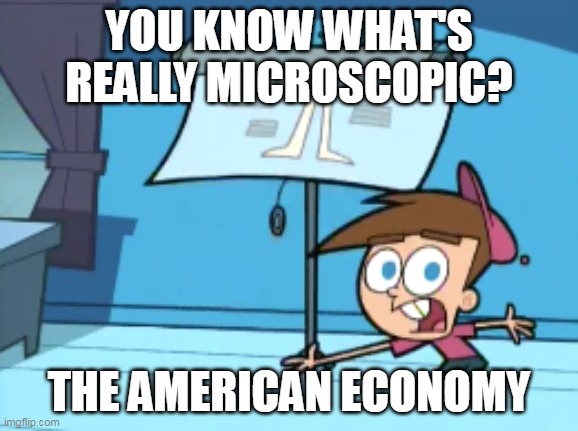 You Know What's Really Microscopic? How Much I Care! | YOU KNOW WHAT'S REALLY MICROSCOPIC? THE AMERICAN ECONOMY | image tagged in you know what's really microscopic how much i care,meme,memes,economy,america | made w/ Imgflip meme maker