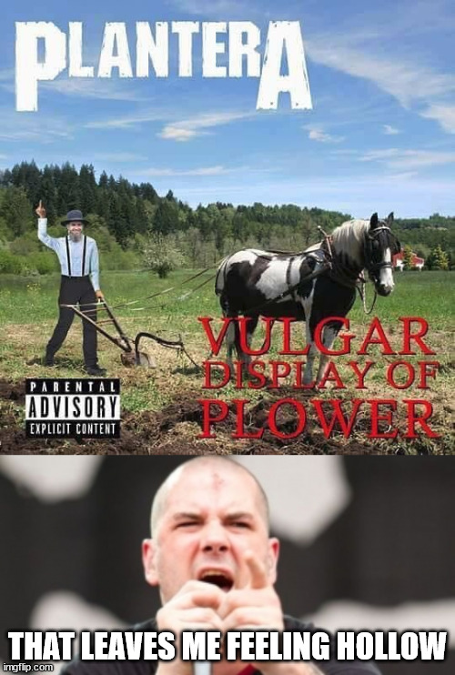 Spoof but I love Pantera |  THAT LEAVES ME FEELING HOLLOW | image tagged in pantera phil anselmo,metal | made w/ Imgflip meme maker
