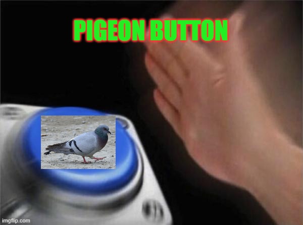Blank Nut Button | PIGEON BUTTON | image tagged in memes,blank nut button | made w/ Imgflip meme maker