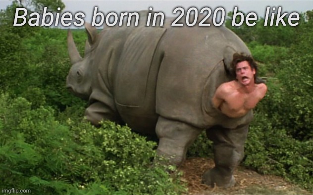 Babies born in 2020 be like | made w/ Imgflip meme maker