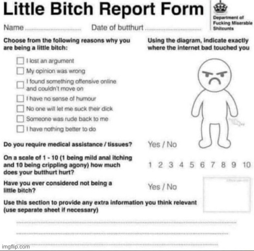 Little bitch report form | image tagged in little bitch report form | made w/ Imgflip meme maker