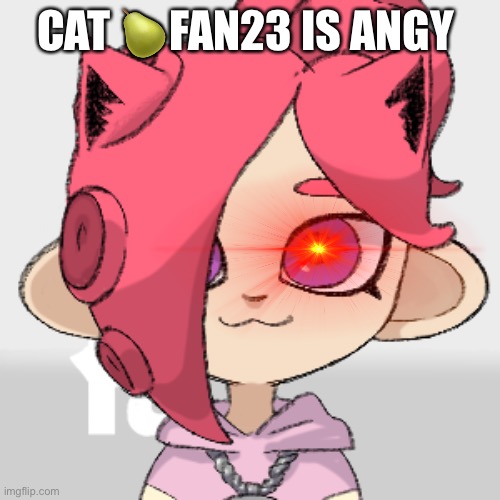 PearlFan23 as a cat | CAT 🍐FAN23 IS ANGY | image tagged in pearlfan23 as a cat | made w/ Imgflip meme maker
