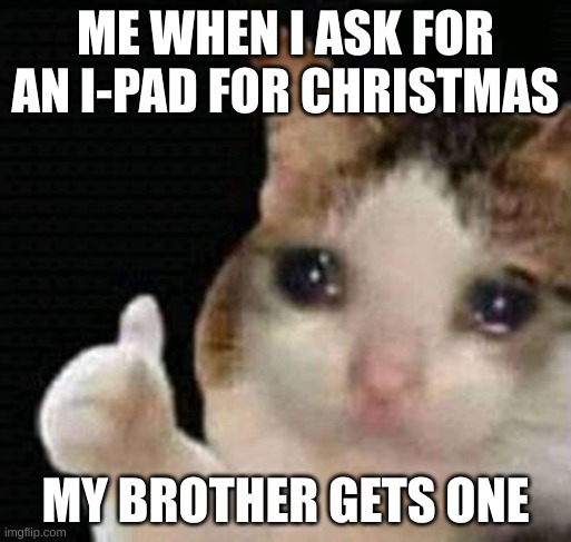 sad thumbs up cat | ME WHEN I ASK FOR AN I-PAD FOR CHRISTMAS; MY BROTHER GETS ONE | image tagged in sad thumbs up cat | made w/ Imgflip meme maker