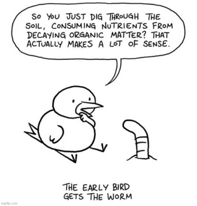 I get it now too | image tagged in comics/cartoons | made w/ Imgflip meme maker