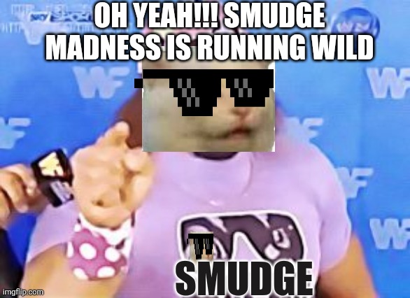 OH YEAH!!! SMUDGE MADNESS IS RUNNING WILD; SMUDGE | image tagged in smudge the cat | made w/ Imgflip meme maker