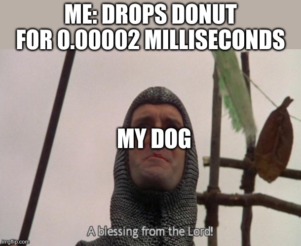 (Creative title here) | ME: DROPS DONUT FOR 0.00002 MILLISECONDS; MY DOG | image tagged in a blessing from the lord | made w/ Imgflip meme maker