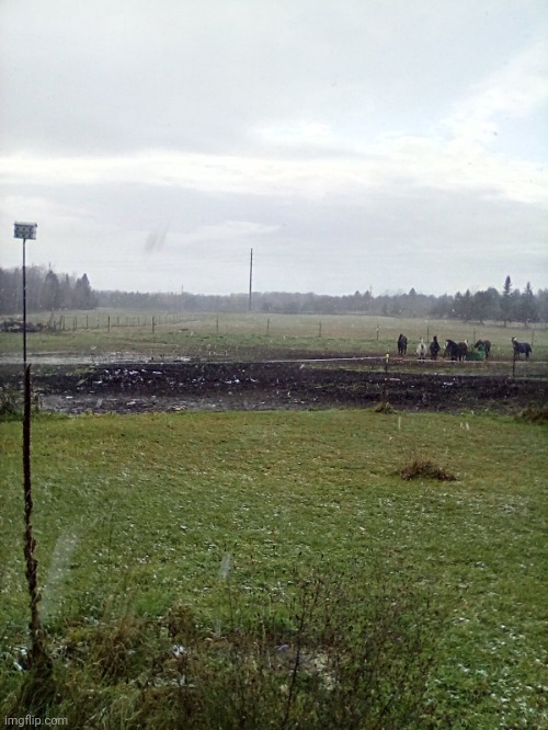 Mememe | image tagged in mememe | made w/ Imgflip meme maker