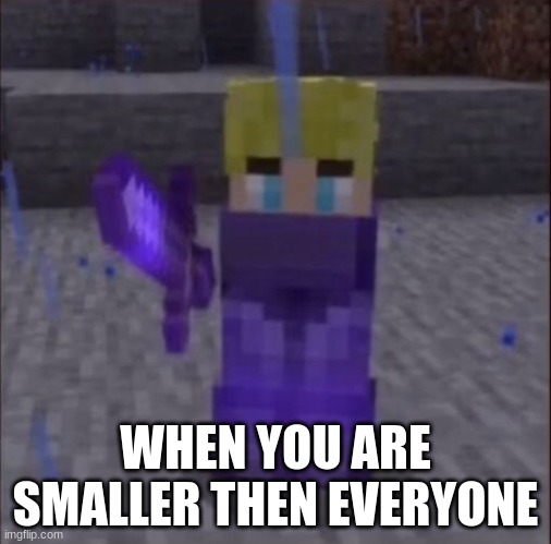 Tommyinnt | WHEN YOU ARE SMALLER THEN EVERYONE | image tagged in tommyinnt | made w/ Imgflip meme maker
