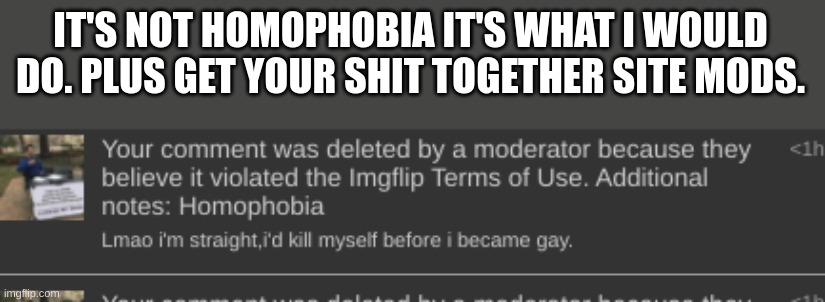Before you disapprove read this. | IT'S NOT HOMOPHOBIA IT'S WHAT I WOULD DO. PLUS GET YOUR SHIT TOGETHER SITE MODS. | image tagged in i | made w/ Imgflip meme maker