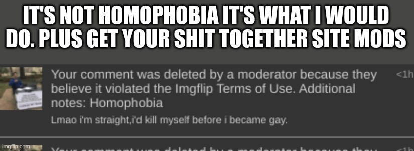 IT'S NOT HOMOPHOBIA IT'S WHAT I WOULD DO. PLUS GET YOUR SHIT TOGETHER SITE MODS | made w/ Imgflip meme maker