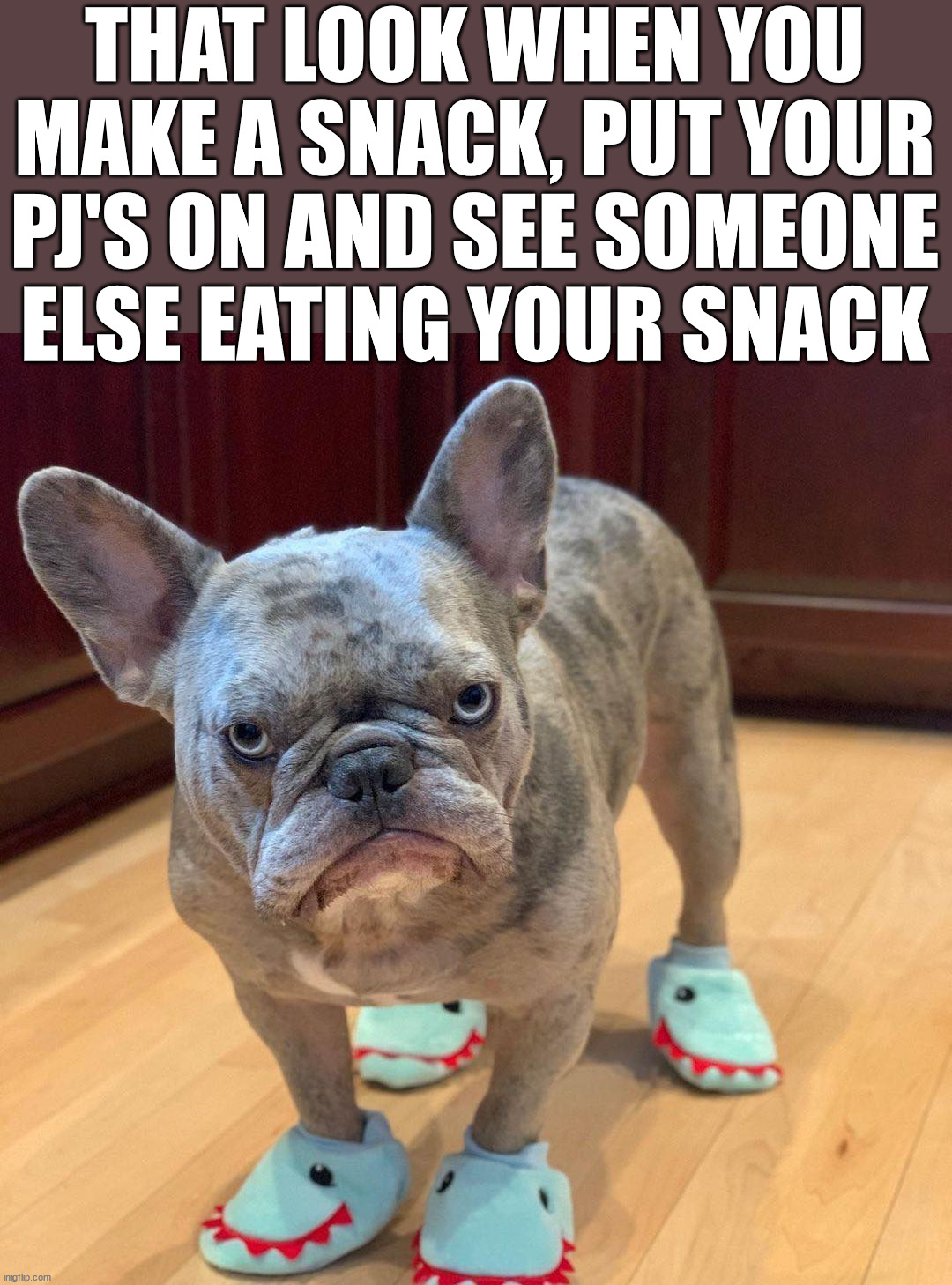 THAT LOOK WHEN YOU MAKE A SNACK, PUT YOUR PJ'S ON AND SEE SOMEONE ELSE EATING YOUR SNACK | image tagged in snacks | made w/ Imgflip meme maker