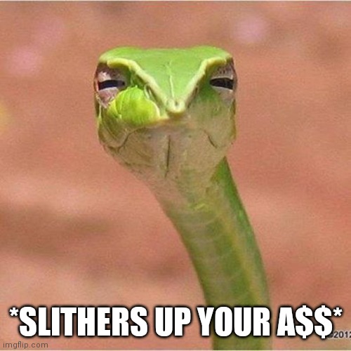 Snek Blank | *SLITHERS UP YOUR A$$* | image tagged in snek blank | made w/ Imgflip meme maker