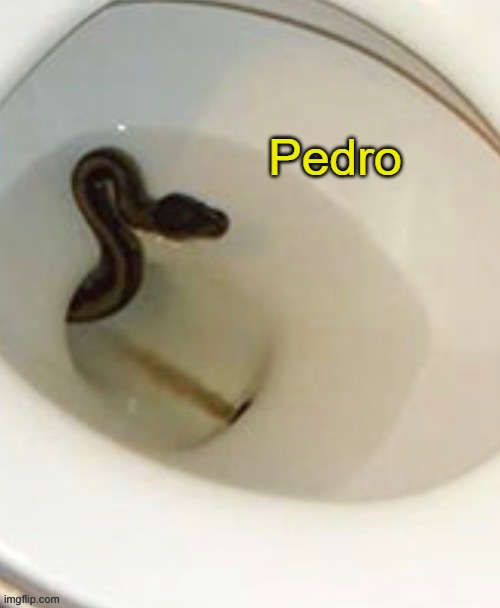 Pedro | made w/ Imgflip meme maker