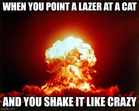 Nuclear Explosion | WHEN YOU POINT A LAZER AT A CAT; AND YOU SHAKE IT LIKE CRAZY | image tagged in memes,nuclear explosion | made w/ Imgflip meme maker