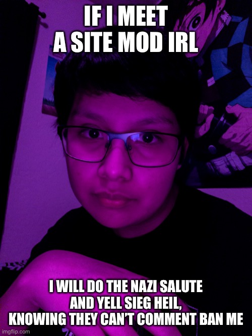 Jummy but he’s the Purple Guy | IF I MEET A SITE MOD IRL; I WILL DO THE NAZI SALUTE AND YELL SIEG HEIL, KNOWING THEY CAN’T COMMENT BAN ME | image tagged in jummy but he s the purple guy | made w/ Imgflip meme maker
