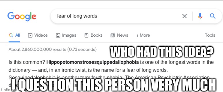 Confusion | WHO HAD THIS IDEA? I QUESTION THIS PERSON VERY MUCH | image tagged in google search,funny | made w/ Imgflip meme maker