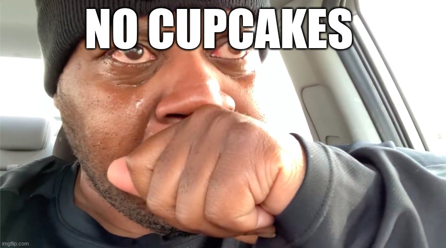 edp445 crying meme | NO CUPCAKES | image tagged in edp445 crying meme | made w/ Imgflip meme maker