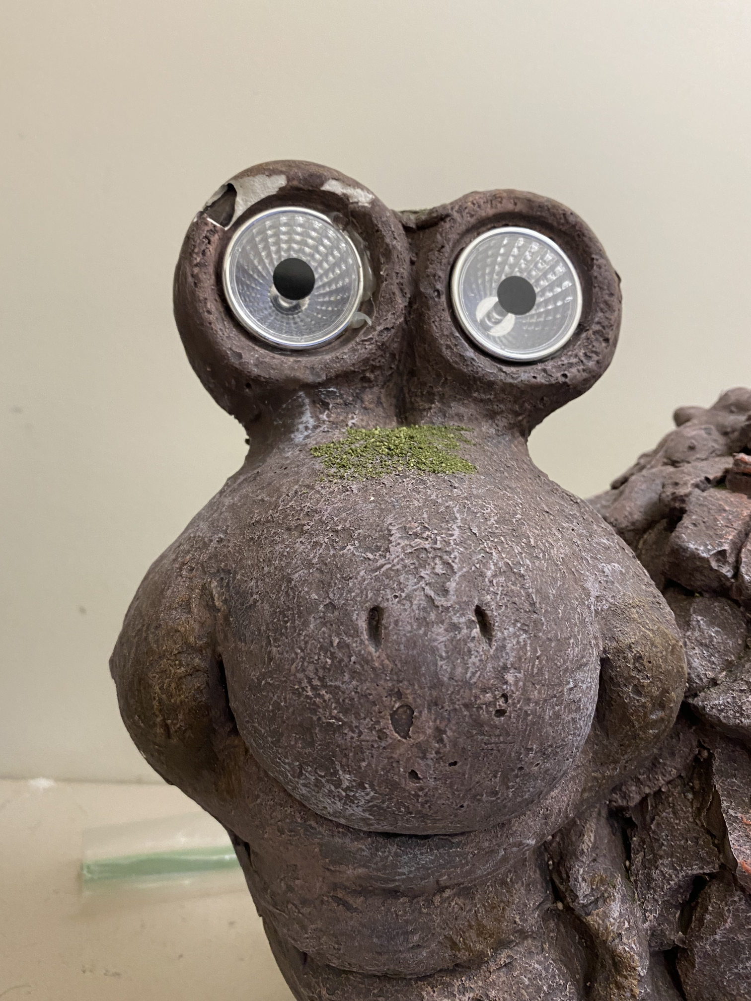 snail Blank Meme Template