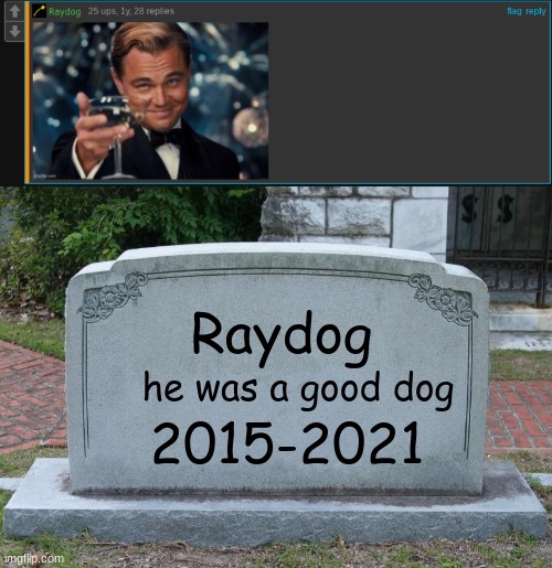 His last comment was a year ago :( |  Raydog; he was a good dog; 2015-2021 | image tagged in gravestone,raydog,r i p | made w/ Imgflip meme maker