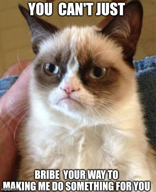 what i tell my sister when she asks me for gum and offers me something weird for it. | YOU  CAN'T JUST; BRIBE  YOUR WAY TO MAKING ME DO SOMETHING FOR YOU | image tagged in memes,grumpy cat | made w/ Imgflip meme maker