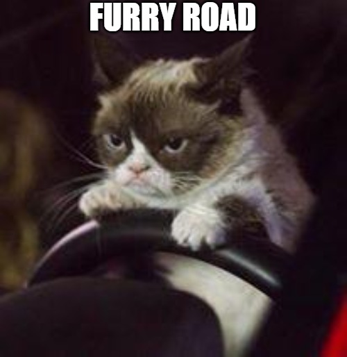 to the citadel | FURRY ROAD | image tagged in grumpy cat car,grumpy,grumpy cat | made w/ Imgflip meme maker