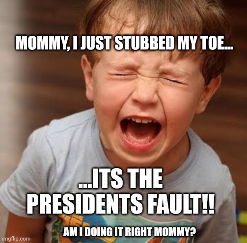 Bidens button raises gas prices, why doesnt he just have a diet coke delivered like the last guy? | MOMMY, I JUST STUBBED MY TOE... ...ITS THE PRESIDENTS FAULT!! AM I DOING IT RIGHT MOMMY? | image tagged in tantrum | made w/ Imgflip meme maker