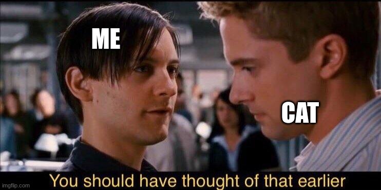 You should have thought of that earlier | ME CAT | image tagged in you should have thought of that earlier | made w/ Imgflip meme maker
