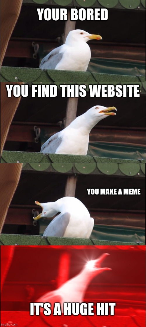 Inhaling Seagull | YOUR BORED; YOU FIND THIS WEBSITE; YOU MAKE A MEME; IT'S A HUGE HIT | image tagged in memes,inhaling seagull | made w/ Imgflip meme maker