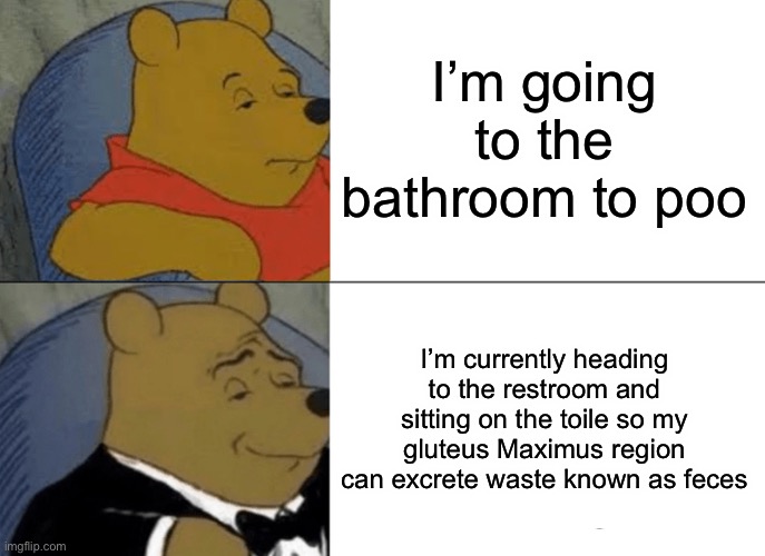 Yes. | I’m going to the bathroom to poo; I’m currently heading to the restroom and sitting on the toile so my gluteus Maximus region can excrete waste known as feces | image tagged in memes,tuxedo winnie the pooh,fancy | made w/ Imgflip meme maker