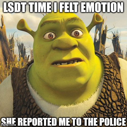 LSDT TIME I FELT EMOTION SHE REPORTED ME TO THE POLICE | made w/ Imgflip meme maker
