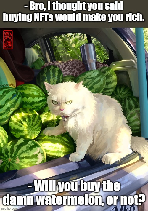 The cat made a bad investment | - Bro, I thought you said buying NFTs would make you rich. - Will you buy the damn watermelon, or not? | image tagged in grumpy cat | made w/ Imgflip meme maker