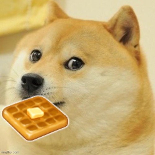 Doge Meme | ? | image tagged in memes,doge | made w/ Imgflip meme maker