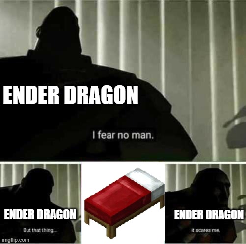 I fear no man | ENDER DRAGON; ENDER DRAGON; ENDER DRAGON | image tagged in i fear no man | made w/ Imgflip meme maker