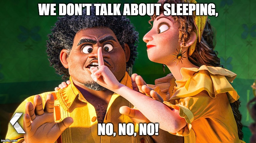 We don't talk about sleeping! | WE DON'T TALK ABOUT SLEEPING, NO, NO, NO! | image tagged in we don't talk about bruno no no | made w/ Imgflip meme maker