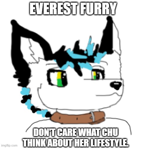 Everest Furry |  EVEREST FURRY; DON'T CARE WHAT CHU THINK ABOUT HER LIFESTYLE. | image tagged in furry,thug life,furries,happy,i don't care,cute | made w/ Imgflip meme maker