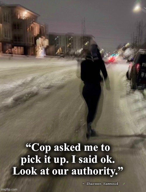 Police |  “Cop asked me to pick it up. I said ok. Look at our authority.”; - Shareen Hammoud | image tagged in authorities,police,law,justice,mental health | made w/ Imgflip meme maker