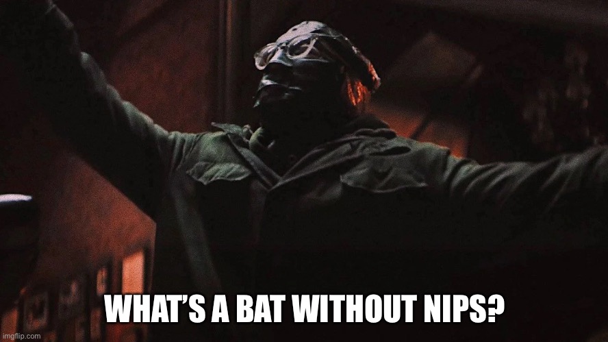 WHAT’S A BAT WITHOUT NIPS? | image tagged in the riddler,riddle me this | made w/ Imgflip meme maker