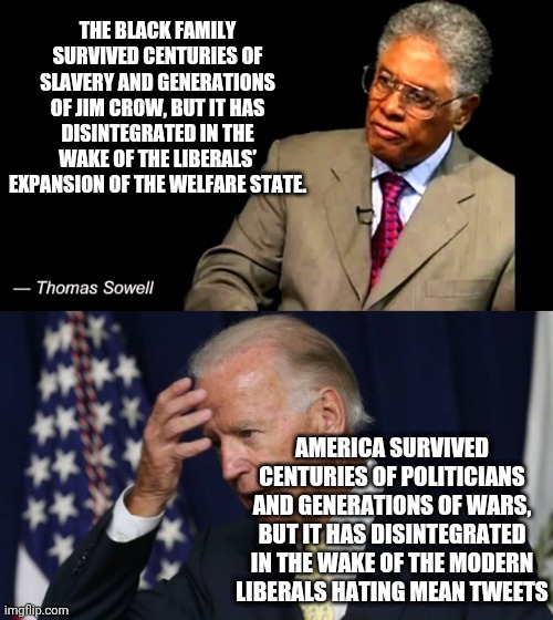 THE BLACK FAMILY SURVIVED CENTURIES OF SLAVERY AND GENERATIONS OF JIM CROW, BUT IT HAS DISINTEGRATED IN THE WAKE OF THE LIBERALS’ EXPANSION OF THE WELFARE STATE. AMERICA SURVIVED CENTURIES OF POLITICIANS AND GENERATIONS OF WARS, BUT IT HAS DISINTEGRATED IN THE WAKE OF THE MODERN LIBERALS HATING MEAN TWEETS | image tagged in thomas sowell,joe biden worries | made w/ Imgflip meme maker