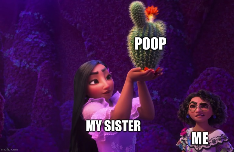 Mirabel and Isabella | POOP; MY SISTER; ME | image tagged in mirabel and isabella | made w/ Imgflip meme maker