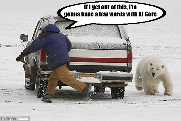Al Gore | If I get out of this, I'm gonna have a few words with Al Gore | image tagged in al gore,polar bear | made w/ Imgflip meme maker