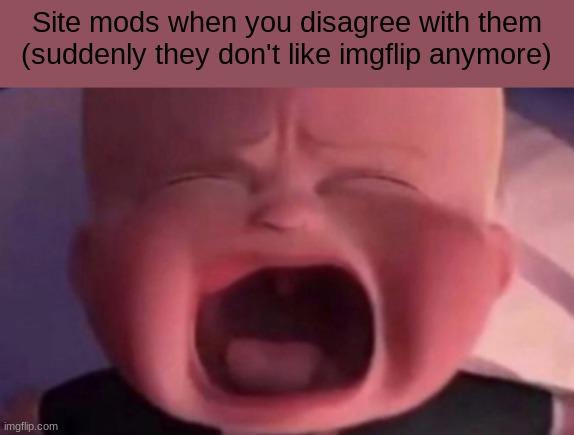 boss baby crying | Site mods when you disagree with them
(suddenly they don't like imgflip anymore) | image tagged in boss baby crying | made w/ Imgflip meme maker