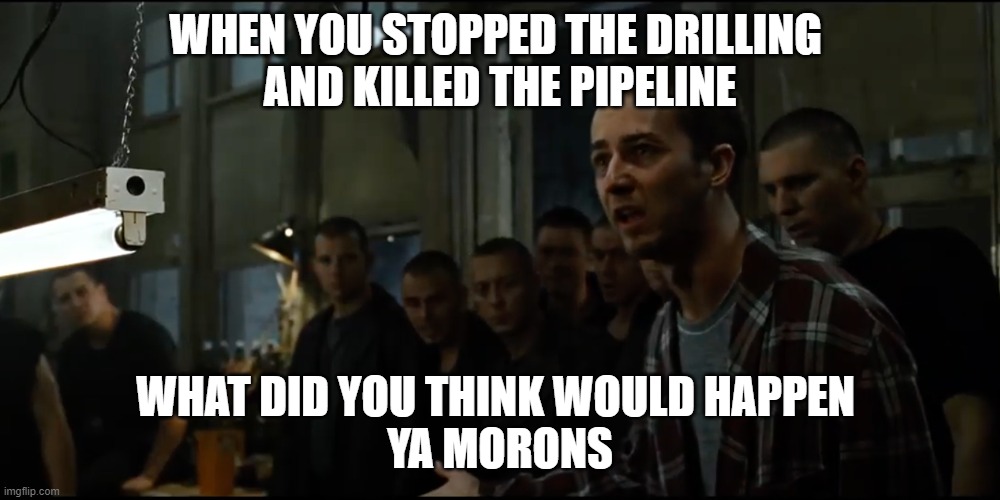 Stopped the Drilling | WHEN YOU STOPPED THE DRILLING 
AND KILLED THE PIPELINE; WHAT DID YOU THINK WOULD HAPPEN 

YA MORONS | image tagged in you morons what did you think was gonna happen | made w/ Imgflip meme maker