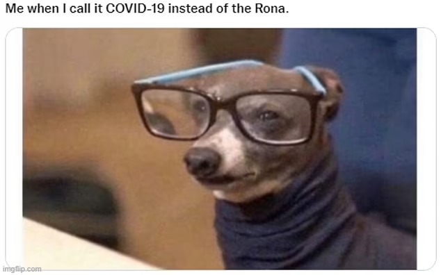 "the rona" | image tagged in memes,funny | made w/ Imgflip meme maker