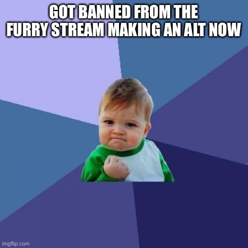 Success Kid | GOT BANNED FROM THE FURRY STREAM MAKING AN ALT NOW | image tagged in memes,success kid | made w/ Imgflip meme maker